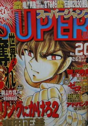 Cover of No. 20, 2001
