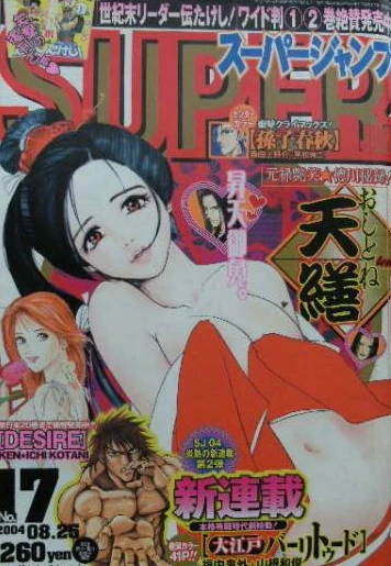 Cover of No. 17, 2004