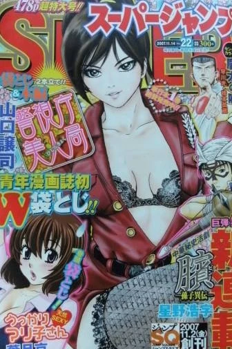 Cover of No. 22, 2007