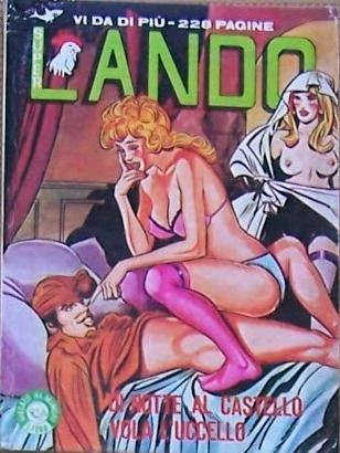 Cover of Di Notte al Castello Vola l'Uccello