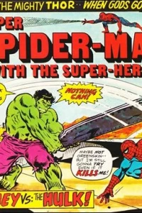 Spidey vs: The Hulk!