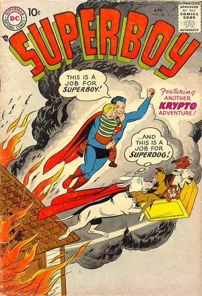 Cover of A Job for Super-Dog