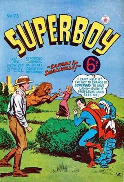 Cover of Safari in Smallville