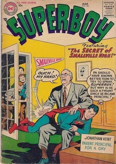 Cover of The Secret of Smallville High