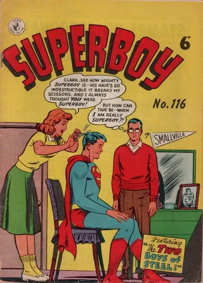 Cover of The Two Boys of Steel