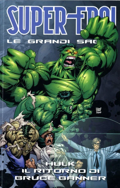 Cover of Hulk: Il ritorno di Banner