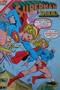 Issue #1343