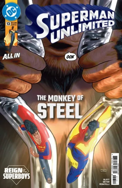Cover of Issue #13