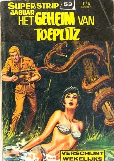 Cover of Jaguar het Gehein van Toeputz