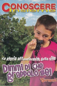 Conoscere Insieme - Dimmi di che grappolo sei