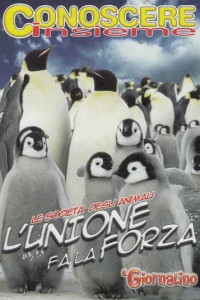 Conoscere Insieme - L' unione fa la forza