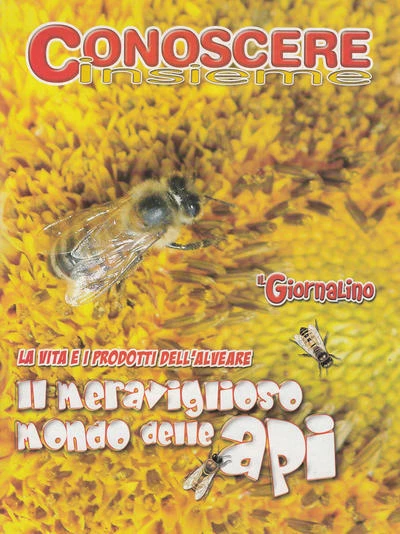 Cover of Conoscere Insieme - Il meraviglioso mondo delle api