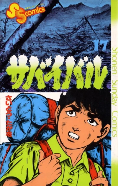 Cover of Vol. 17