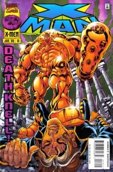 Cover of Survivors of the Storm