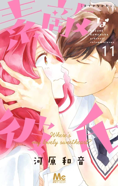 Cover of Volume Eleven
