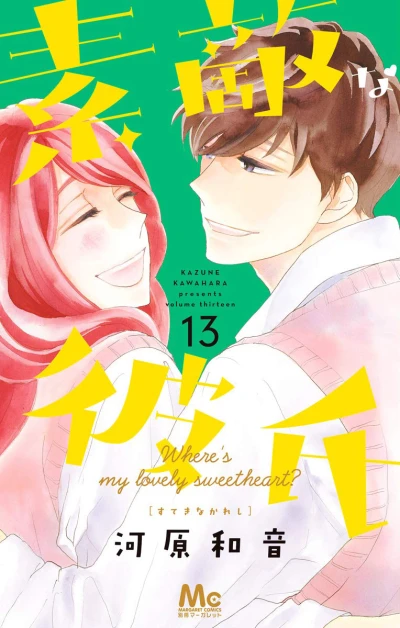 Cover of Volume Thirteen
