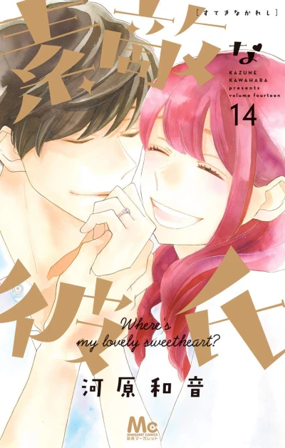 Cover of Volume Fourteen