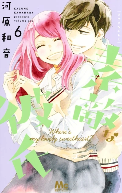 Cover of Volume Six