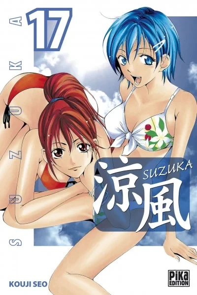 Cover of Issue #17