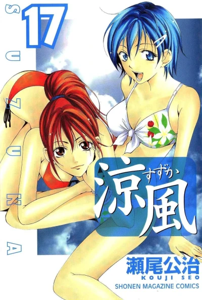 Cover of Vol. 17
