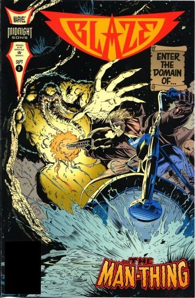 Cover of Swamp Fire!