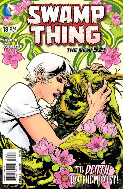 Cover of Swamp Thing (Volume 5)