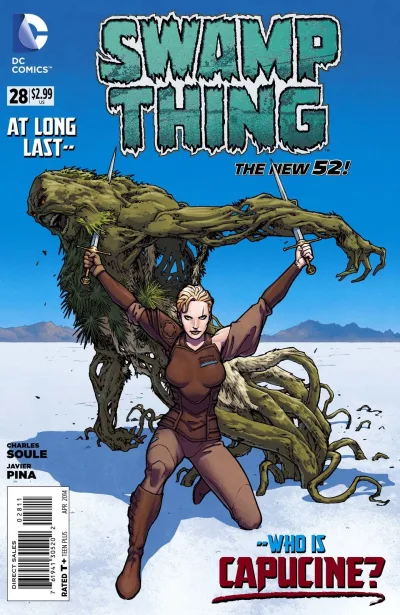 Cover of Swamp Thing (Volume 5)