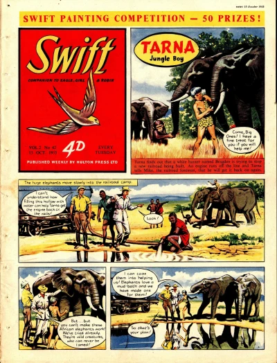 Cover of Issue #242