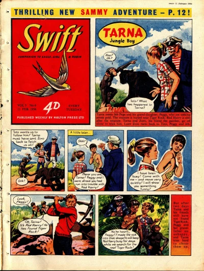 Cover of Issue #306