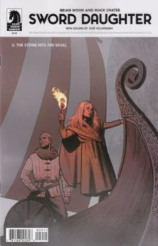 Cover of The Stone Hits the Skull
