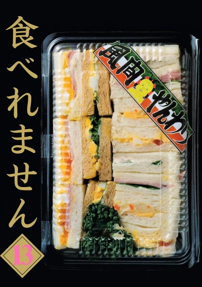 Cover of Vol. 13