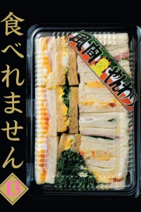 Vol. 13