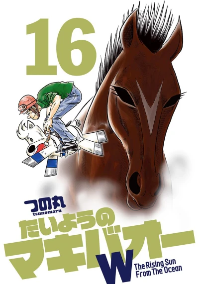 Cover of Vol. 16