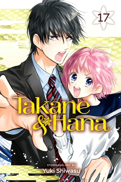 Cover of Vol. 17