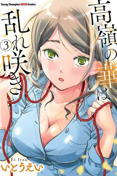 Vol. 3