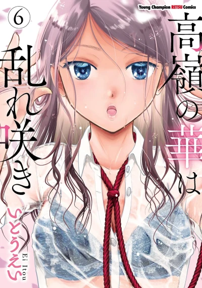 Cover of Vol. 6