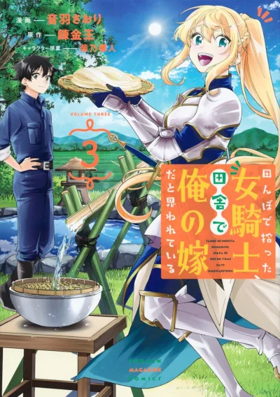 Cover of Volume Three