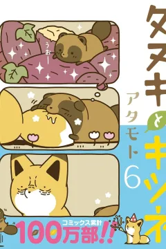 Vol. 6