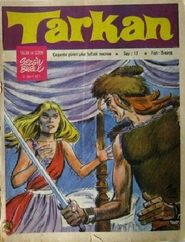 Cover of Issue #17