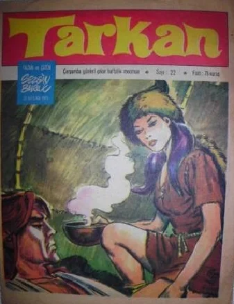 Cover of Issue #22