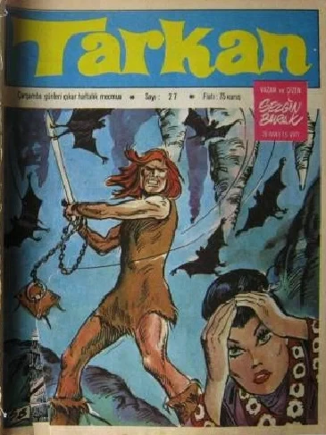 Cover of Issue #27