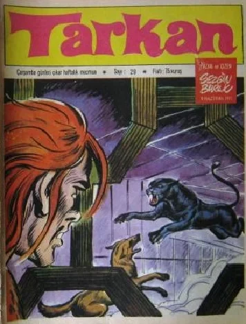 Cover of Issue #29