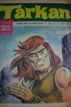 Issue #37