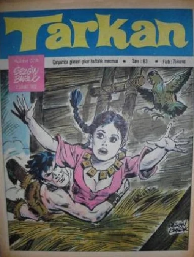 Cover of Issue #63