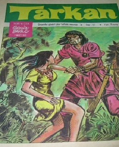 Cover of Issue #67