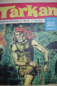 Issue #85