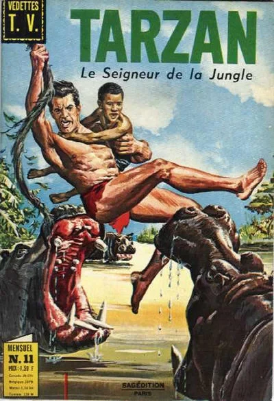 Cover of Issue #11