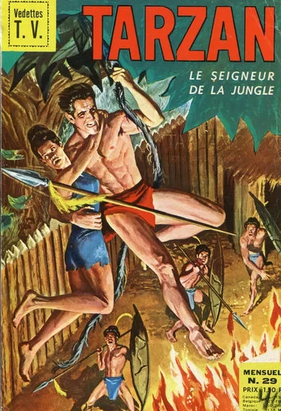 Cover of Issue #29