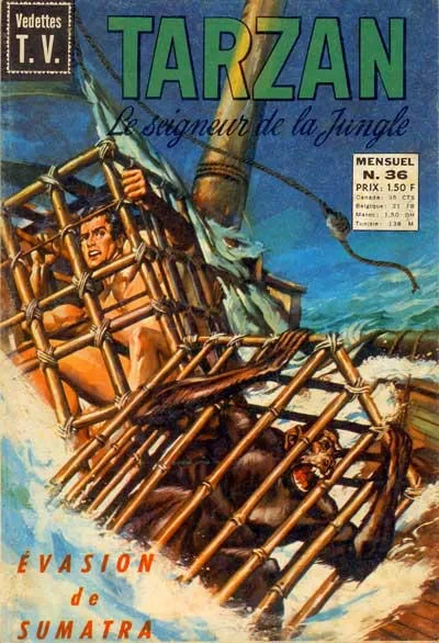 Cover of Issue #36