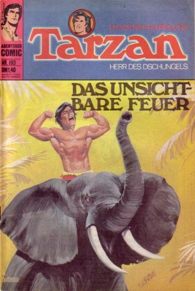 Cover of Das unsichtbare Feuer